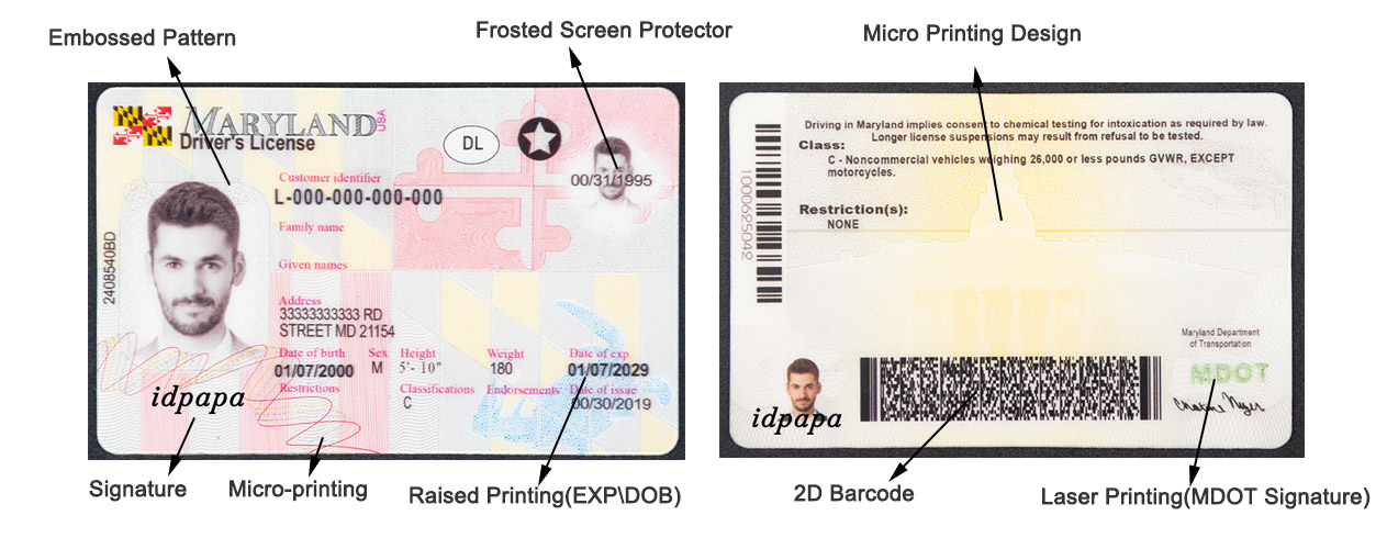 Maryland Fake ID