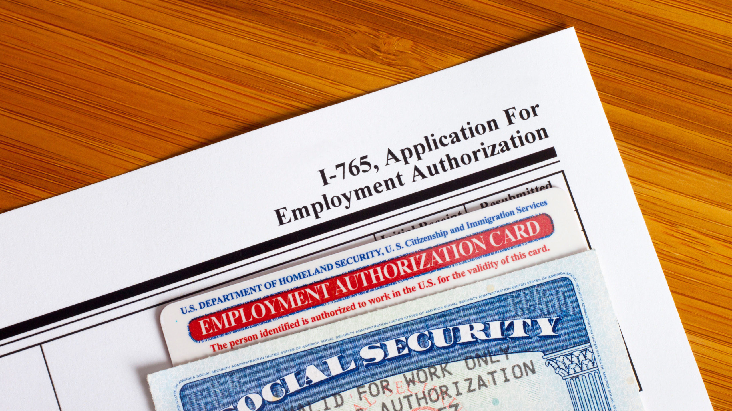 fake employment authorization card